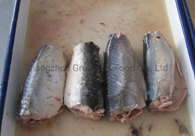 Wholesale Best Canned Mackerel Fish in Brine 425g