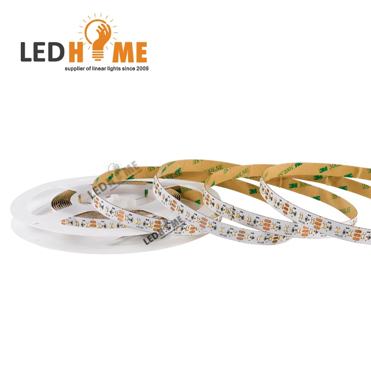 24V Dimmerble Flexible LED Strip with 240 LED Light and Lamp