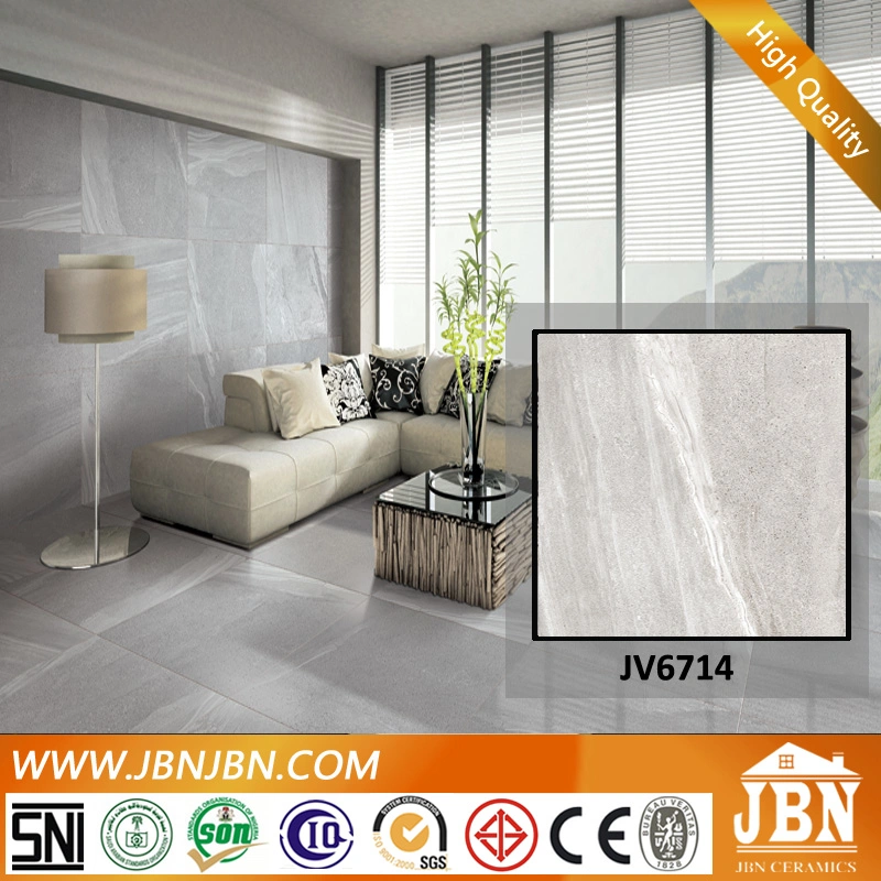 Simple Fashion Style Color Body Cement Tile Floor (JV6711D)