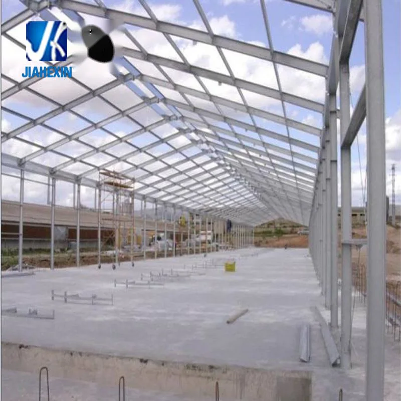 Steel Structure Construction Poultry House Chicken House