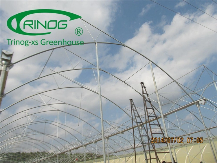 El bastidor de acero galvanizado en caliente Multi-Span Estructura del sistema de cultivo hidropónico invernaderos cultivo de la película