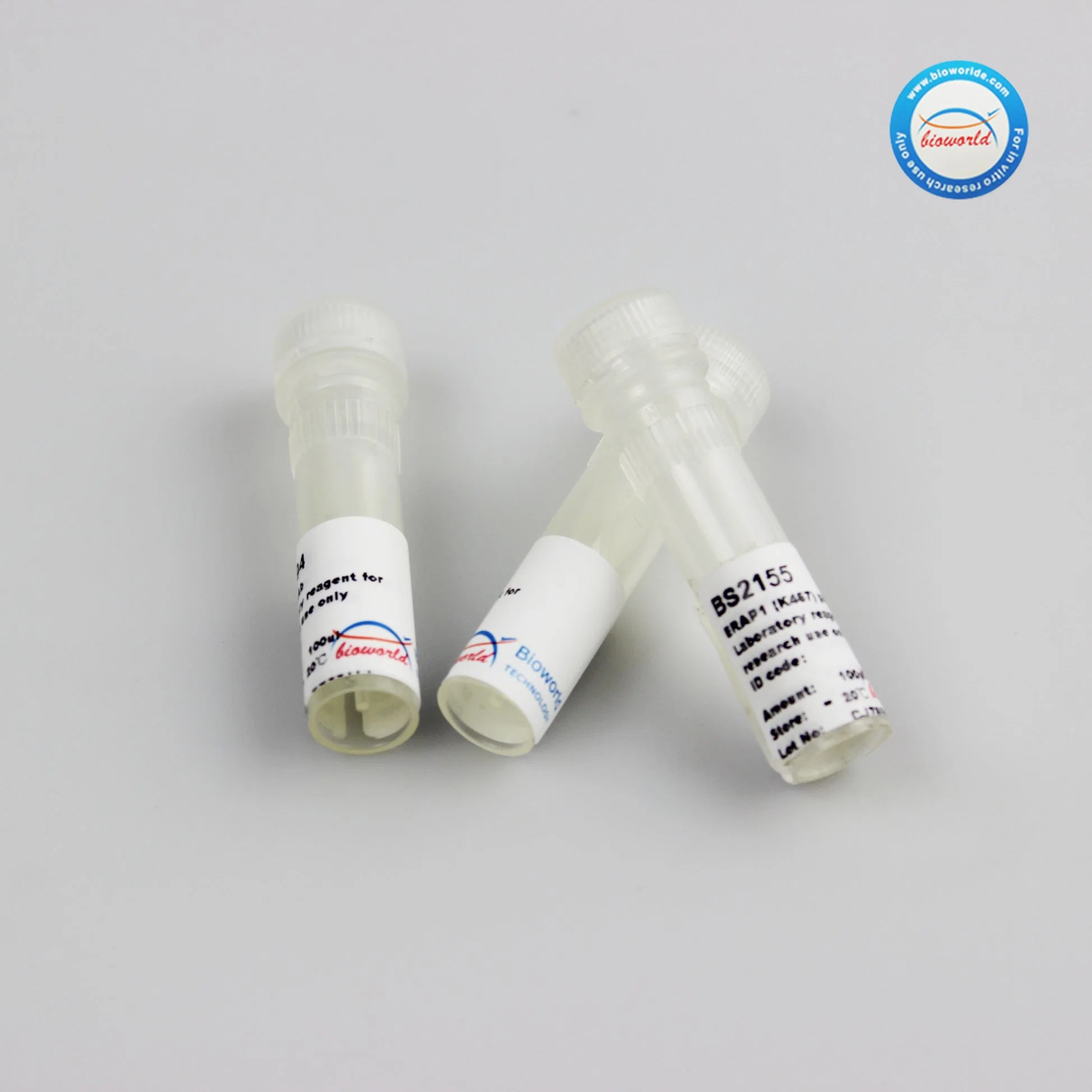 Ergic3 Polyclonal Antibody