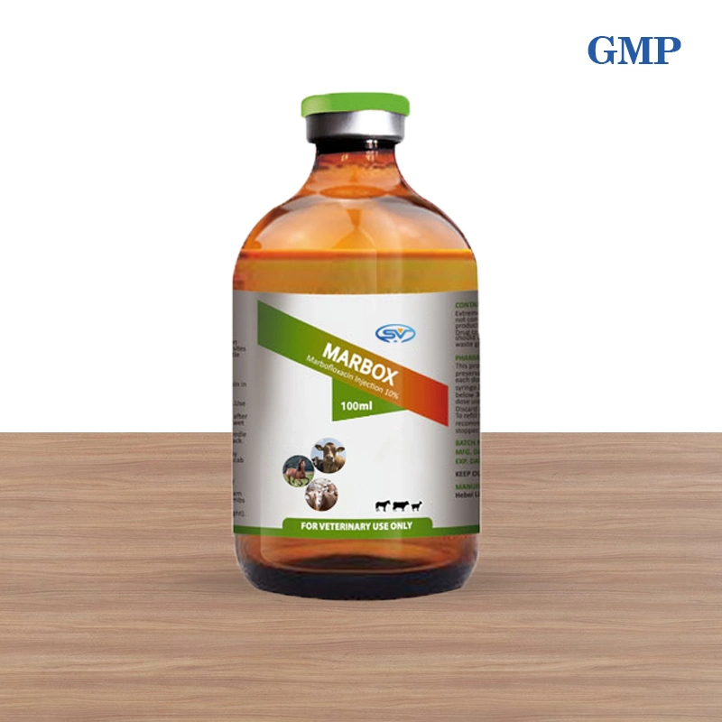 10% Mabofloxacin Injection for Urinary Tract Infection: Used for The Treatment of Animal Infections