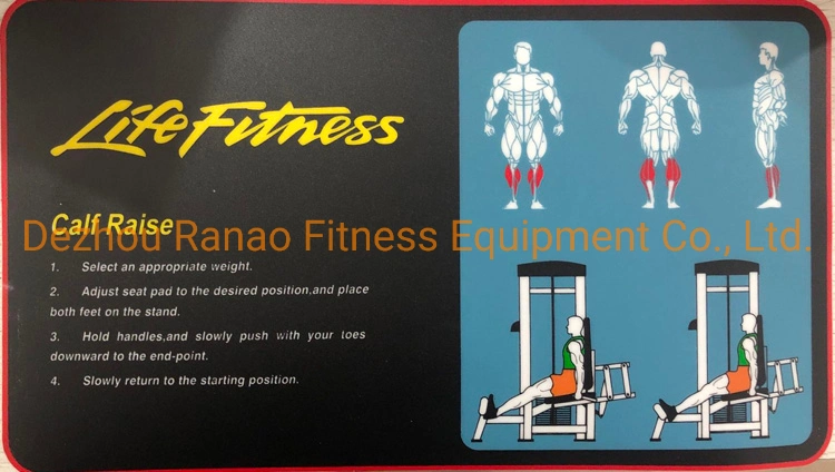 Factory Direct Produce Gym Equipment Body Building Exercise Calf Muslce Calf Extension/Seated Calf Raise Sports Equipment