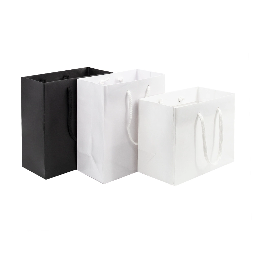 Hot Sale Double Layer Luxury Gift Bag Paper Shopping Bags with Rope Handle