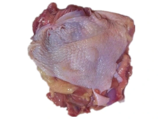 High quality/High cost performance  Frozen Halal Chicken Leg Meat