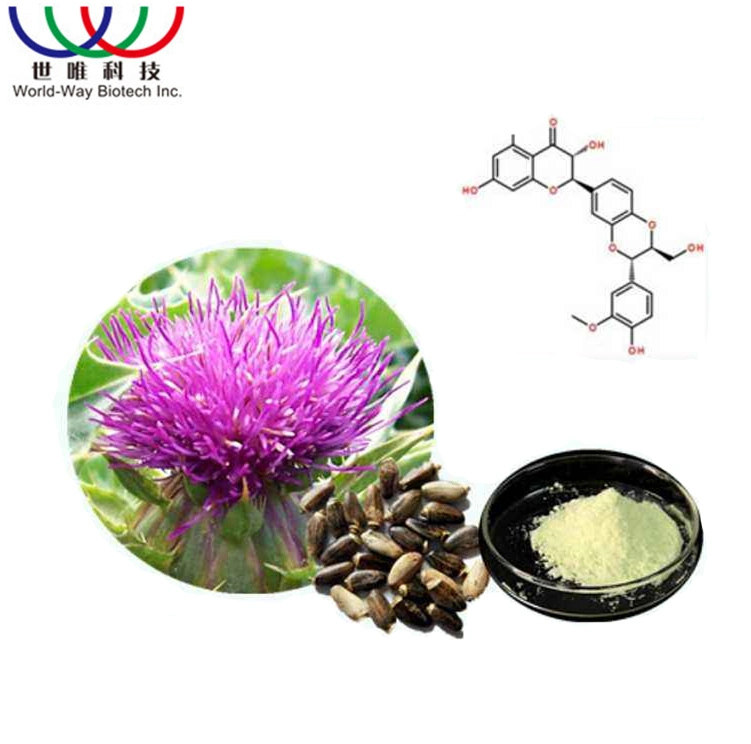 Health Care Milk Thistle Seed Extract Silymarin 80%, Silybin and Isosilybin 30% Powder