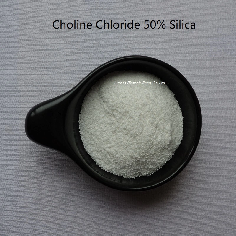 Bulk Stock Feed Grade Choline Chloride 50%/C5h14clno Price