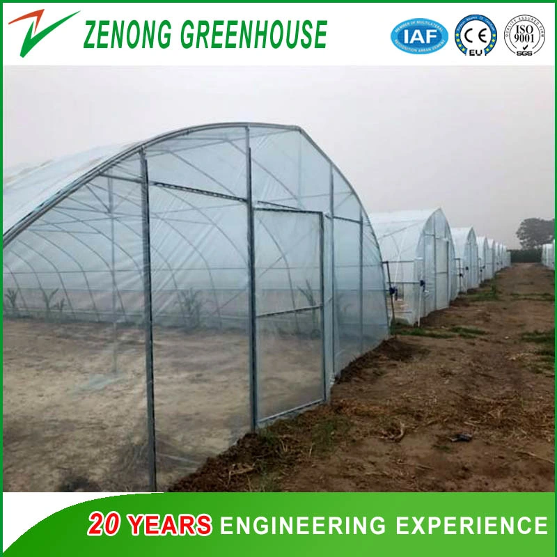 Economic Single Span 200 Micron Film High Poly Tunnel Greenhouse for Vegetable