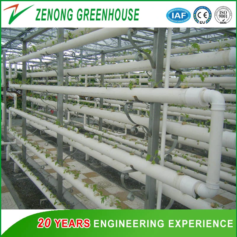 PVC Pipe Model Vertical Hydroponics System for Leaf Vegetables