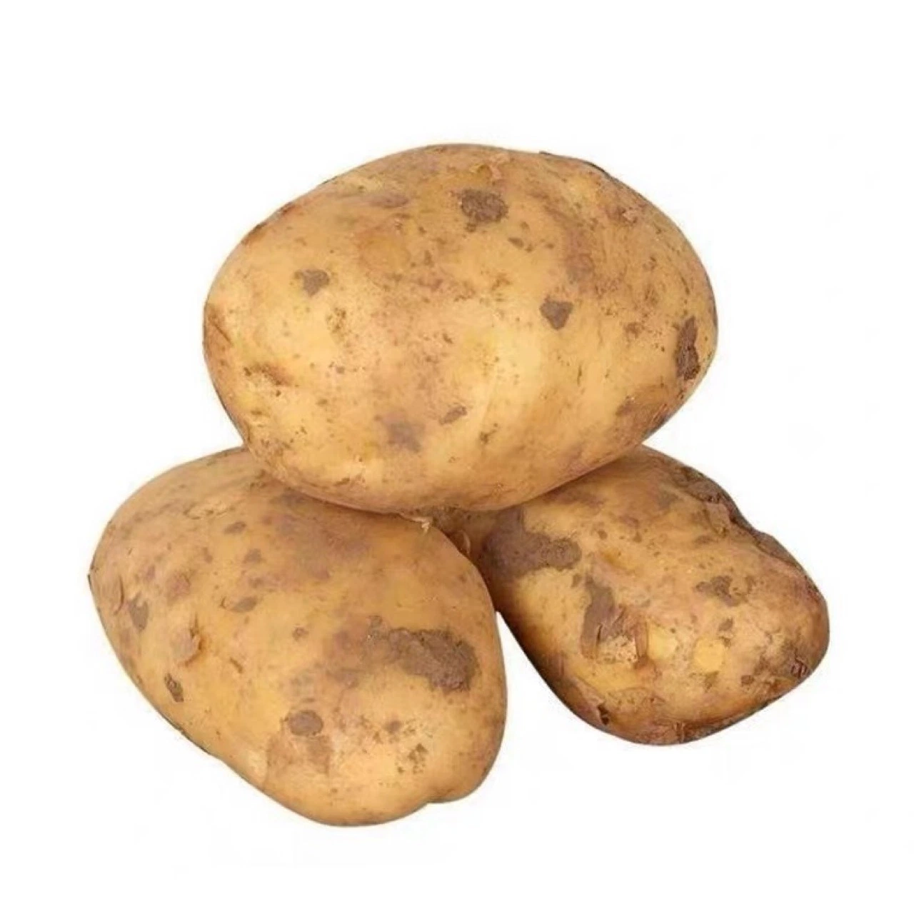 New Season Potato Wholesale/Supplier Fresh Potato China Vegetables Export