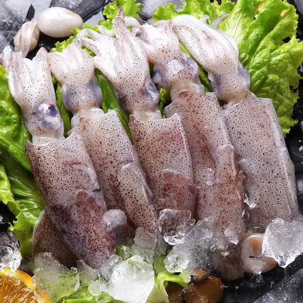 Frozen Iiiex Giant Squid with Vetetable String High Quality Health Seafood Lllex Giant Squid Product Japanese Squid