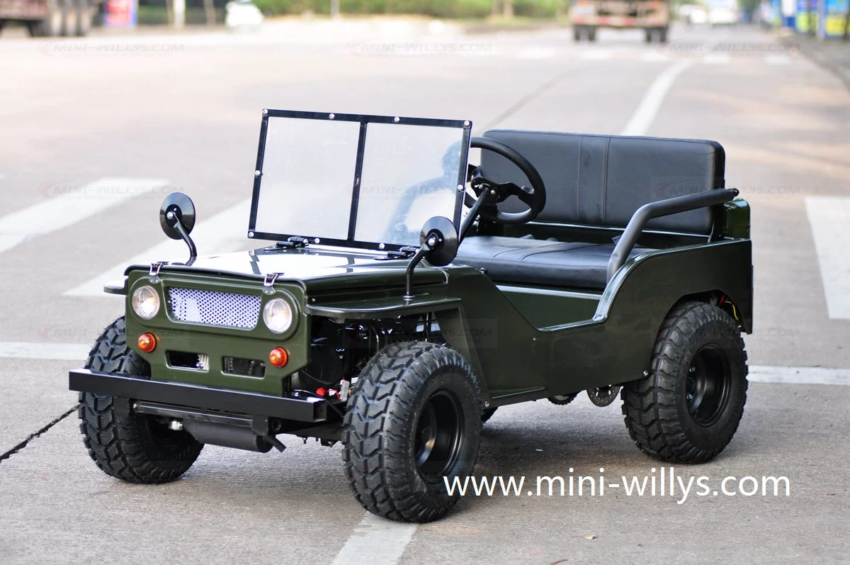 Fabrik Direktkauf hohe Qualität Hot Selling Erwachsene 150cc 200cc Mini Willys Toyota Jeep