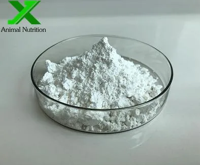 Wholesale/Supplier Price L Tryptophan Powder Feed Grade for Sale