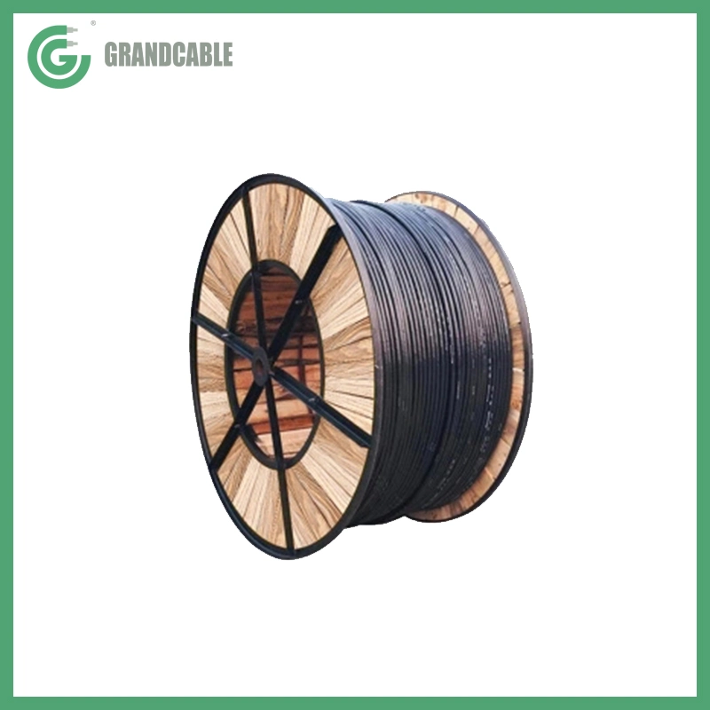 3X35+1X16mm2 Copper Conductor XLPE Insulated Double Stainless Steel Tape STA Armored Anti-Termite PVC Sheahthed LV Power Cable 0.6/1kV