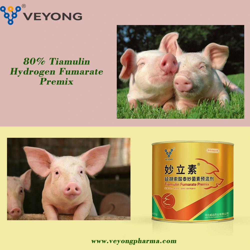 Factory Price Good Quality Tiamulin Fumarate 55297-96-6 Pharmaceutical Veterinary Medicine Tiamulin Fumarate