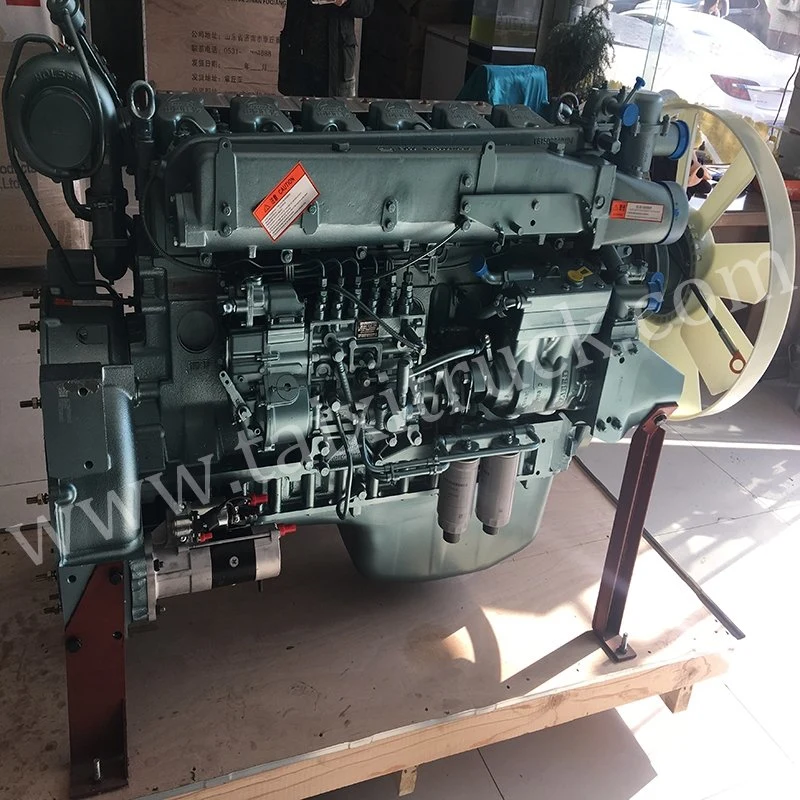 HOWO Truck Wd615.69 Engine for Sinotruk Spare Parts