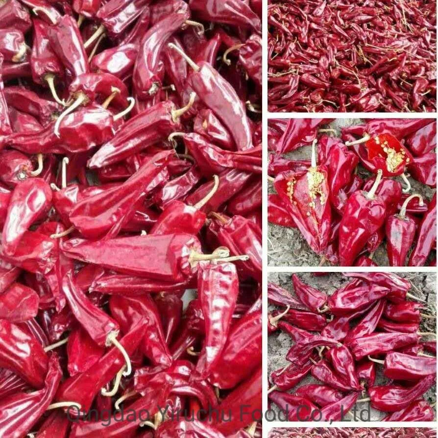 China&prime; S Best-Selling and Hottest Red Pepper