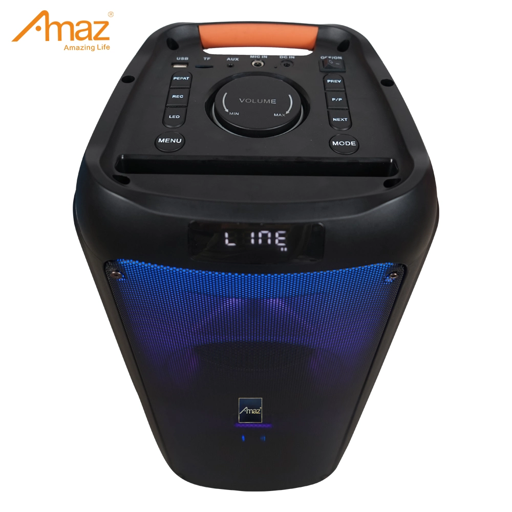 Altavoz portátil recargable profesional de la fábrica el sistema de audio para Karaoke