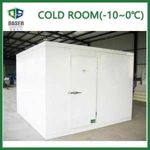 100rt Cold Room for Industrial Use