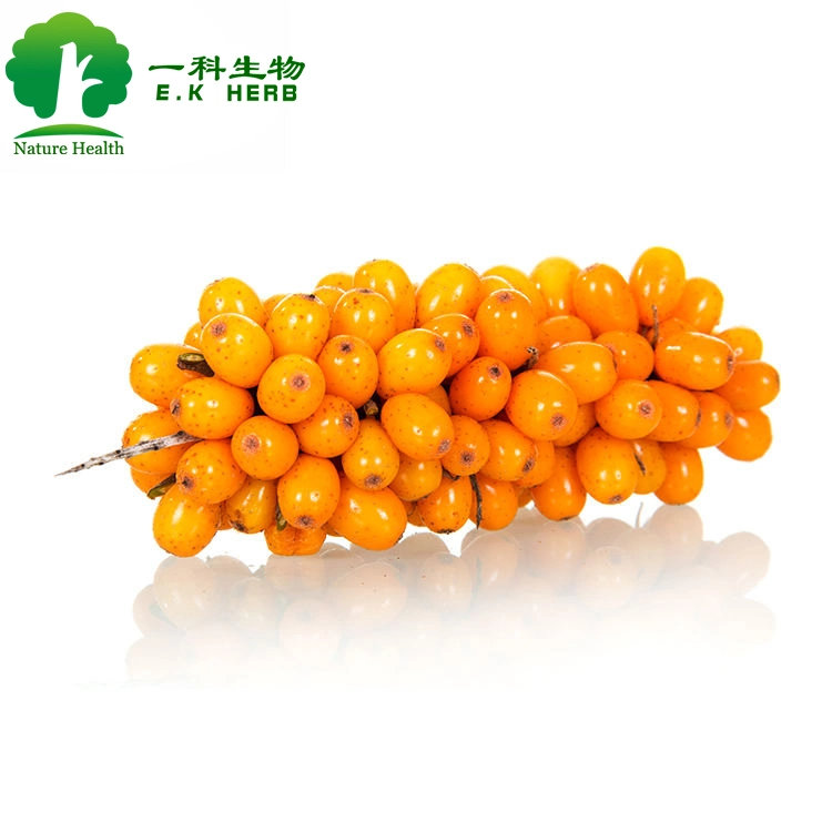 All Natural Herbal Extract Seabuckthorn Fruit Extract Is Rich in Vitamin C Seabuckthorn Fruit