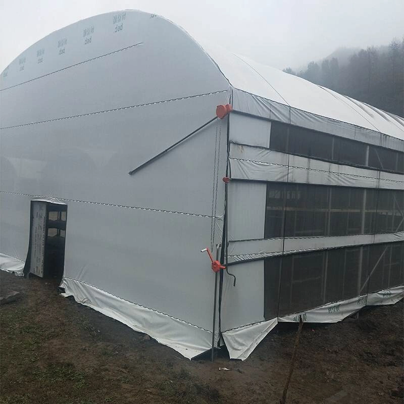 Greenhouse for Flower Shiitake Mushrooms with Full Equipment Package