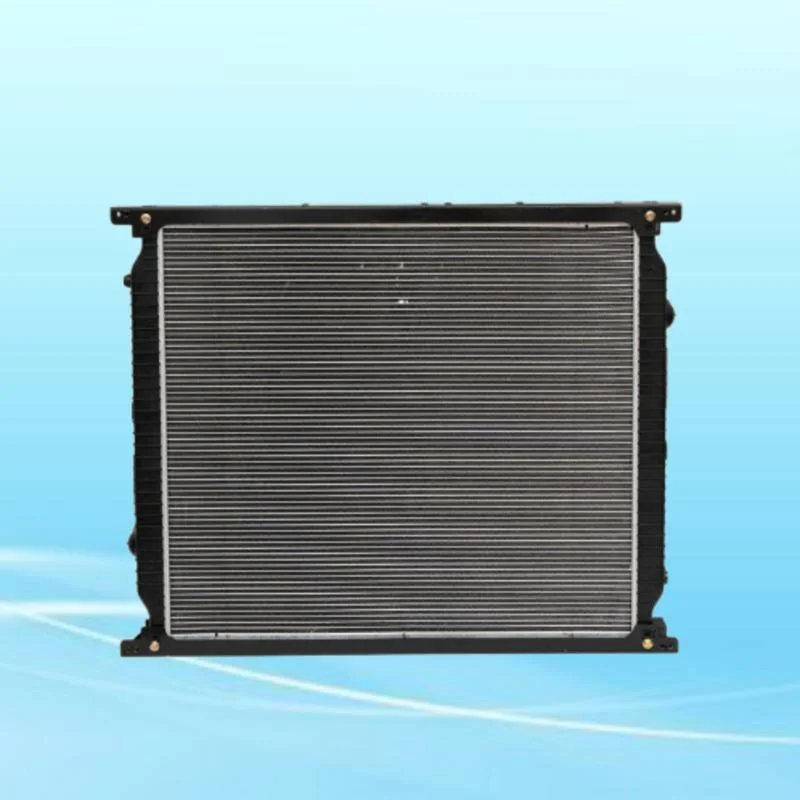 Customize All Kinds of Models Computer Water Cooling Radiator Wg9725530276 Wg9725530277 Is Suitable for Shacman Truck