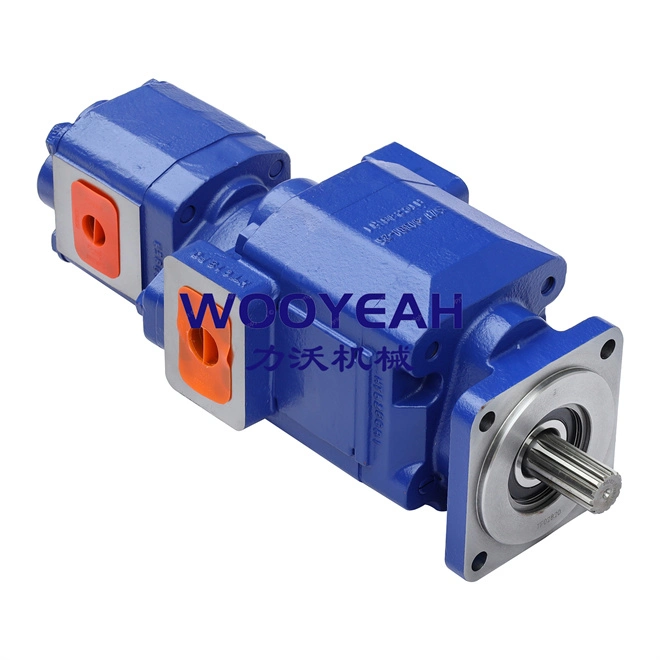 4120006298 1124232290 Gear Pumpssdlg L958f L968f Radlader Ersatzteile