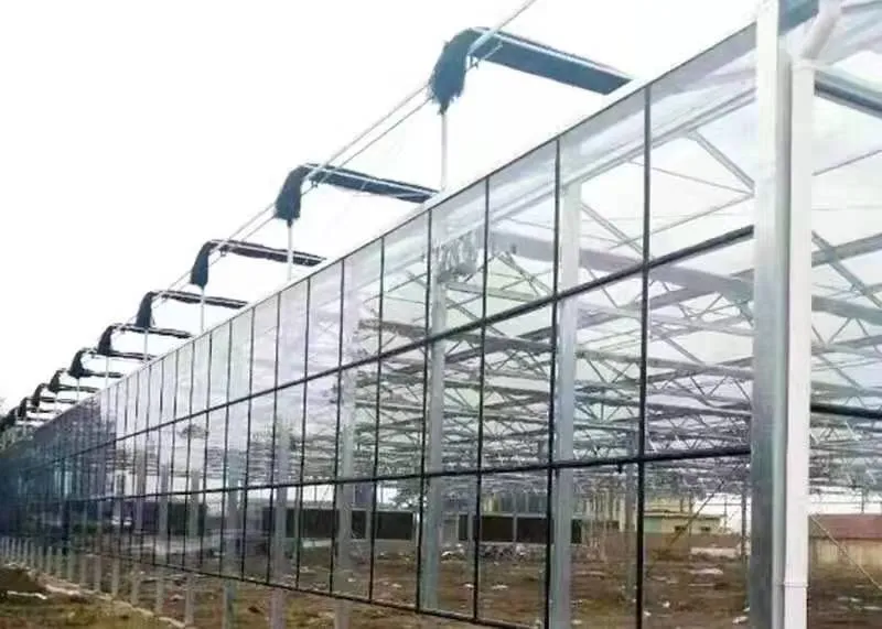 Greenhouse with External/Internal Shade/Open Window for Trawberry/Tomato/Cucumber/Eggplant/Cherry/Pepper