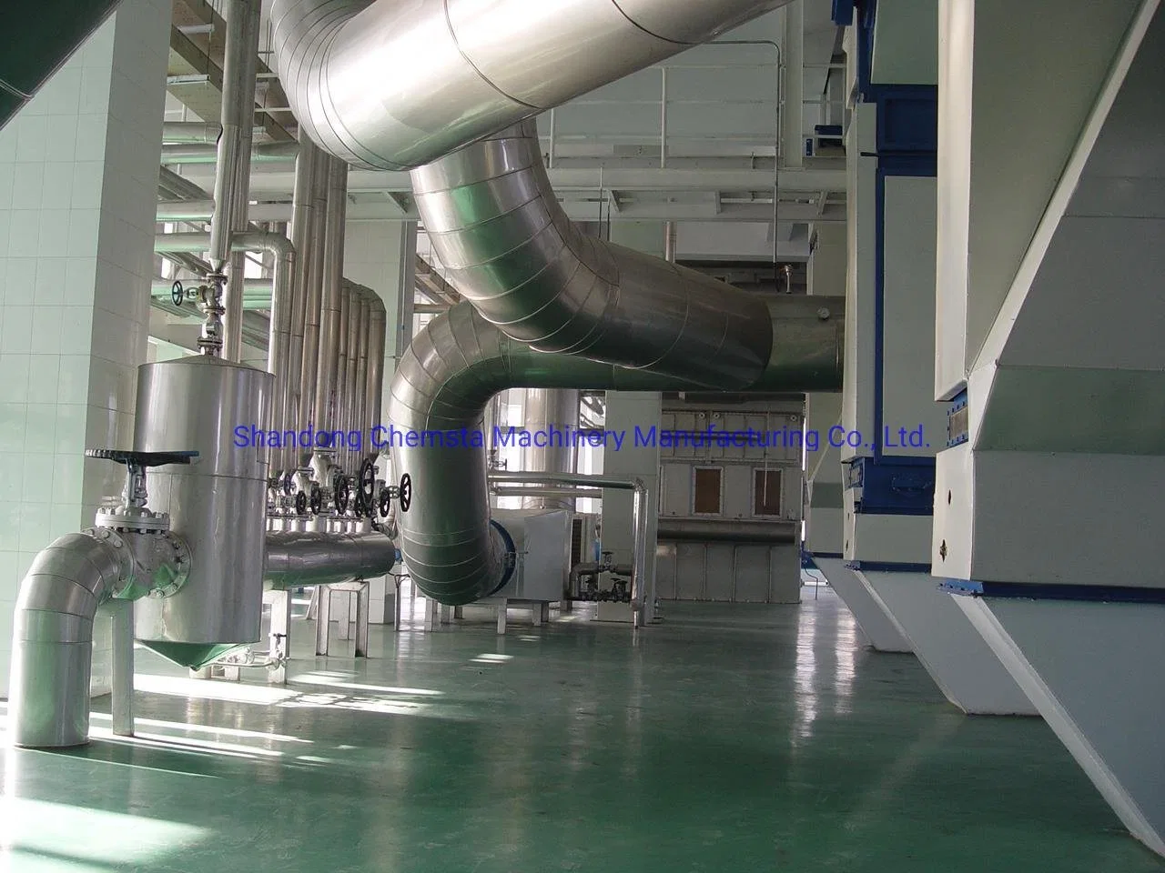 1200t/D Oilseed Processing Plant with High Quality