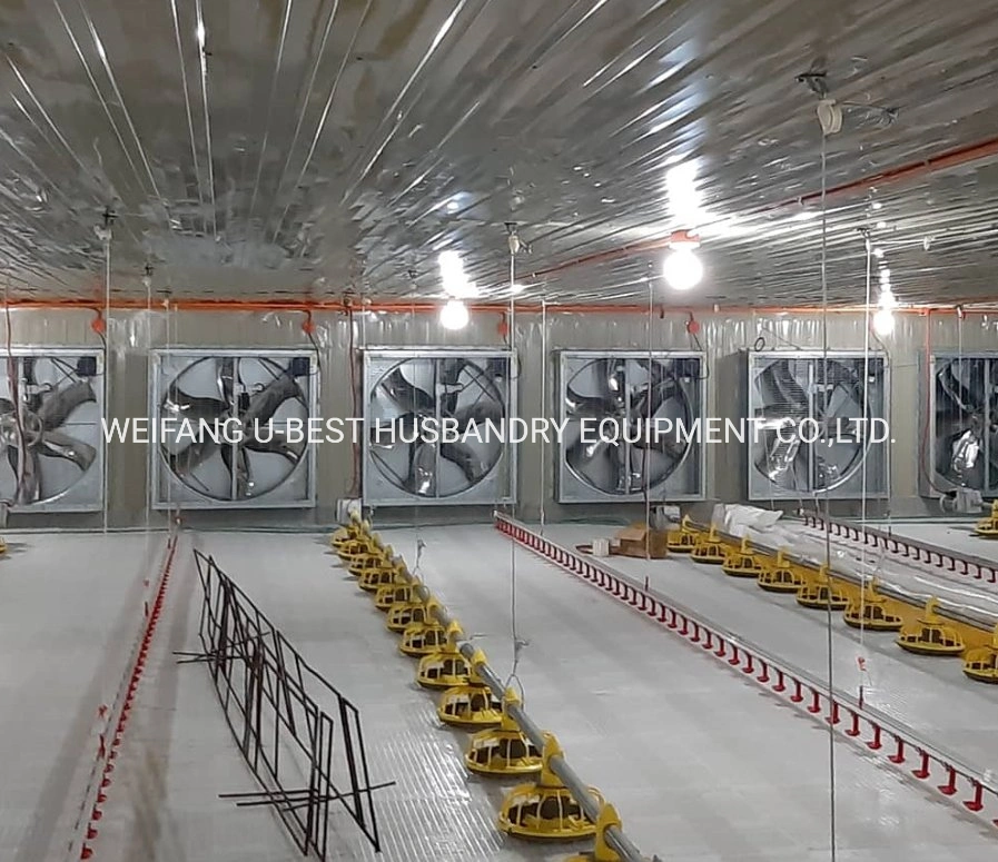 Well Designed Broiler Breeder Layer Chicken Use Poultry Farm Construction Design