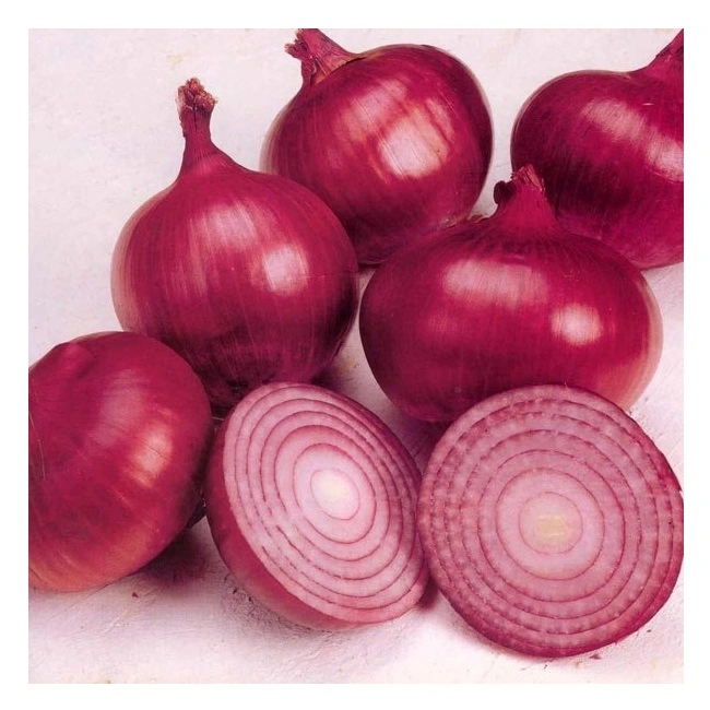 Melhor qualidade Atacado preço barato fresco Red Onion fornecedores em Nion vermelho