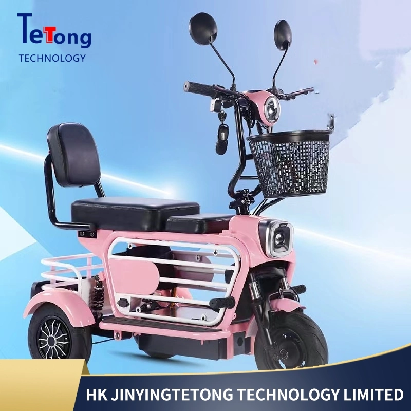 Newest Three Wheel Electric Bicycle 48V 750W Cargo Tricycle for Lady