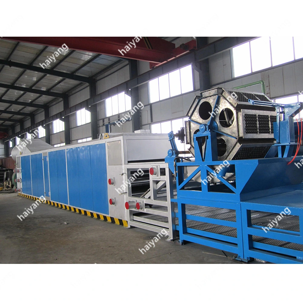 Haiyang Automatic Rotary Pulp Molding Machine Egg Carton Machine for Sale