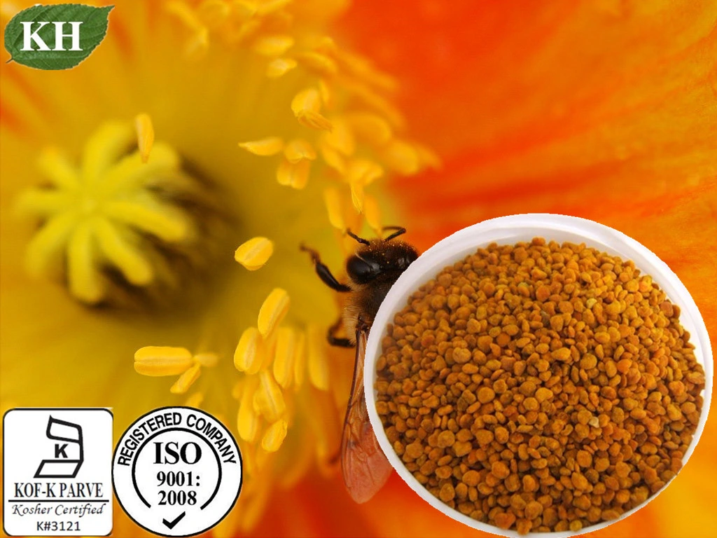 Bee Pollen Extract Protein 15%