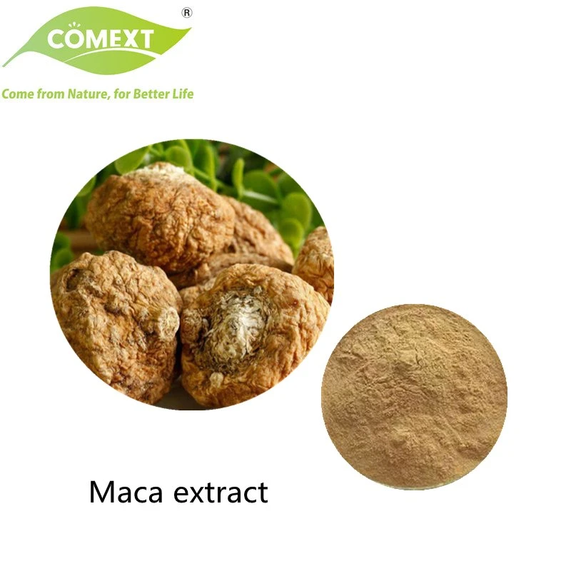 Comext Factory High quality/High cost performance  Competitive Price Natural Food Maca Root Extract Brown Yellow Powder 10: 1 0.6% Macamides for Male Health