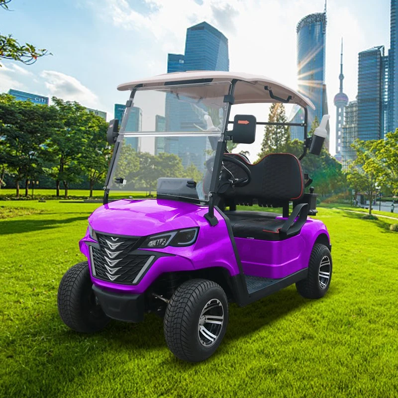 Nuevos Productos Nueva tendencia 2 Seater Forge G2 Electric Golf Carritos de golf Buggy