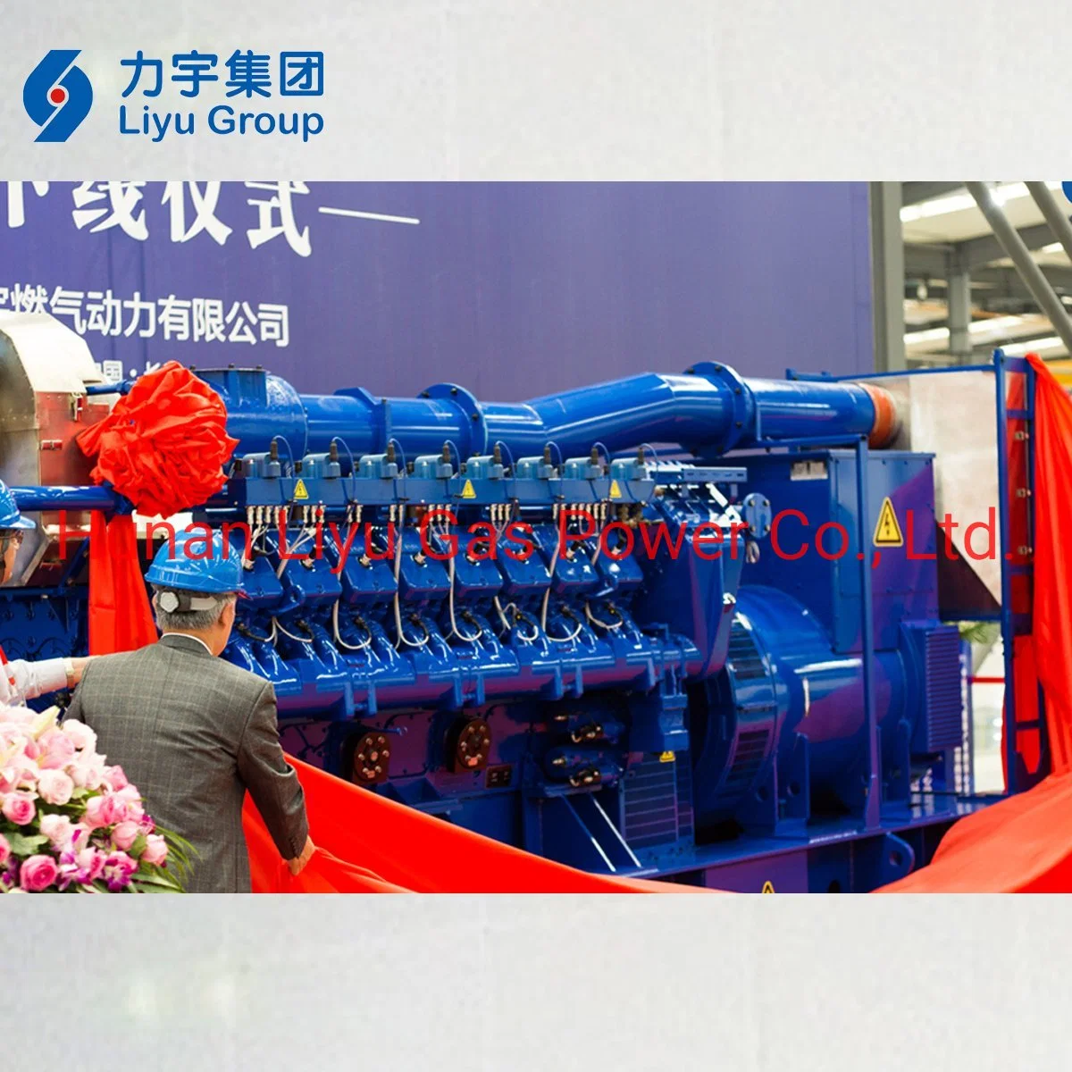 1.2MW Biomass Gas Low Voltage Generator Set / Generating Set/ Gas Generator Ultra Silent