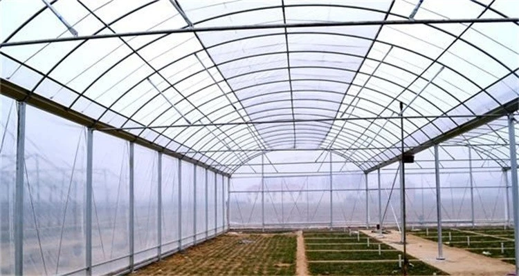 200 Micron Film with UV Protection Large Greenhouse