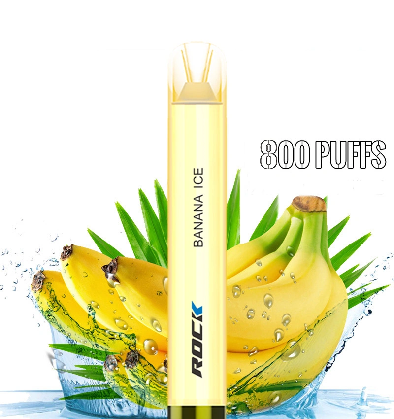 Ready to Ship Vaporizer Electric Smoking Pipe Disposable/Chargeable Vape Electronic Cigarette