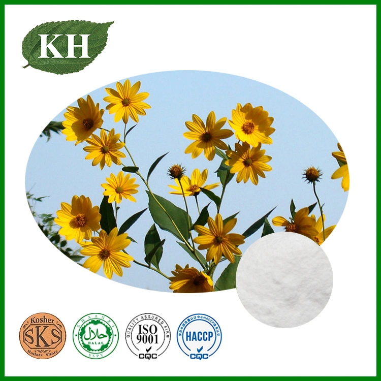 Top Quality Jerusalem Artichoke Extract Inulin 90% HPLC