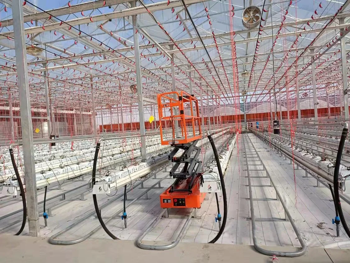 Greenhouse Picking Trolley Harvesting Trolley Harvest Picker Lift Machine