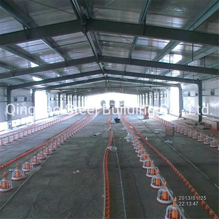 Prefab Light Steel Stucture Chicken Poultry House Shed Building/Steel Structure Poultry Farm House