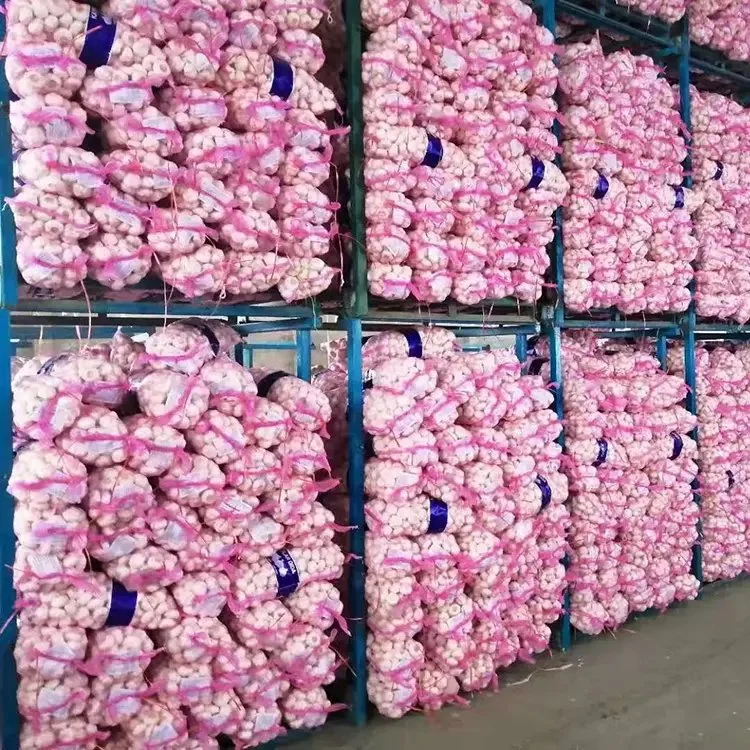 2023 Newest Crop of Garlic Import Chinese Garlic