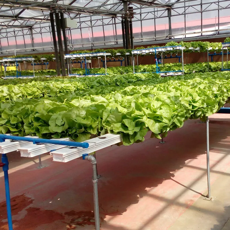 Nft Hydroponic Channel Lettuce Vegetable Growing Tube Pipe 100*50 mm Aquaculture Equipment Water-Saving Fertilizer-Saving