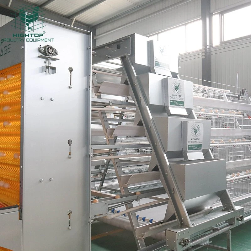 Chicken Farming Equipment Manufacturer Automatic Battery Laying Hens Egg Chicken Cages