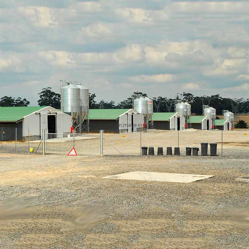 La estructura de acero galvanizado de la casa de aves de corral con equipos