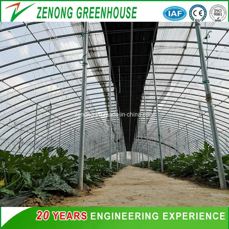 Low Cost Simple Hot DIP Galvanized Steel Plastic Film Arch Tunnel Greenhouse