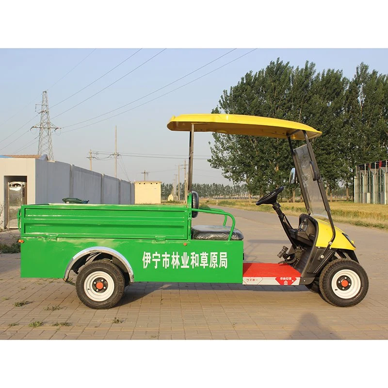 China Manufacturer Wholesale/Supplier 2 Passengers Battery Golf Car with Cargo Bucket