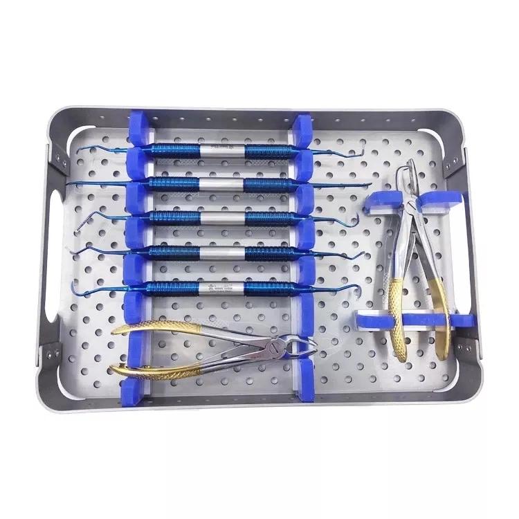 Medical Veterinary Clinic Dental Winged Elevator Animal Equine Dental Instruments Surgical Tools